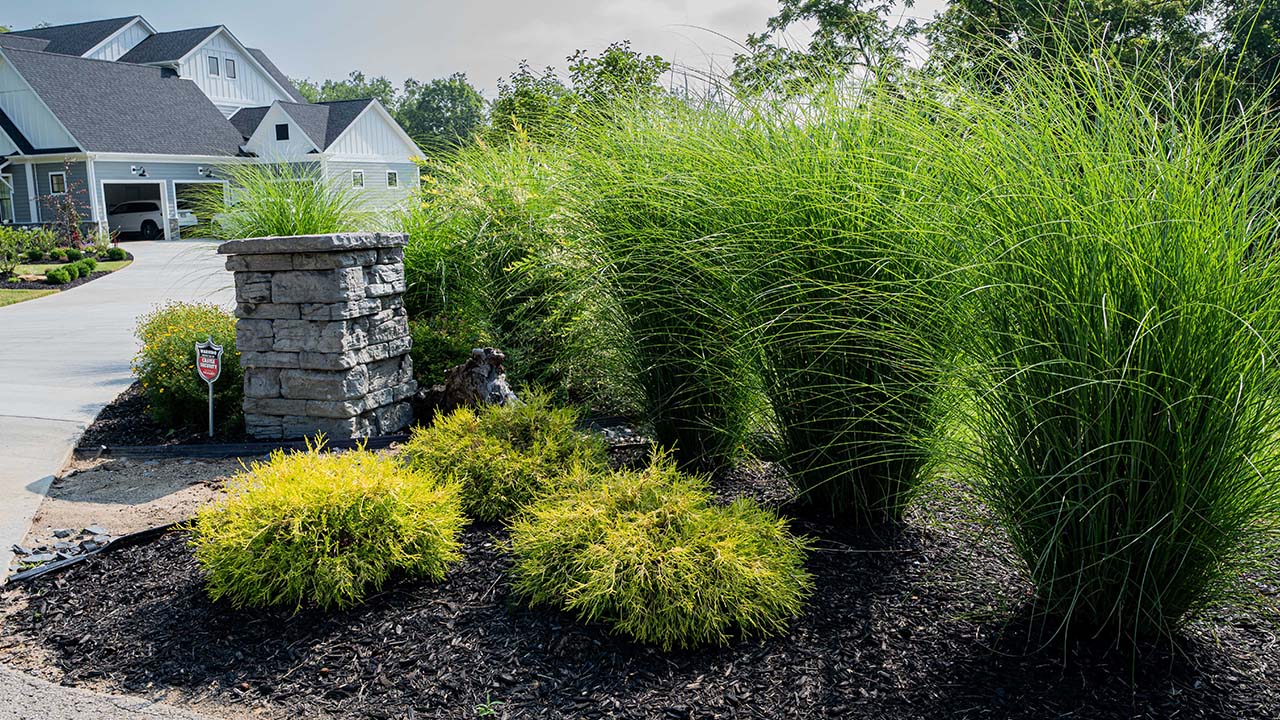 Plants Installation Baden PA